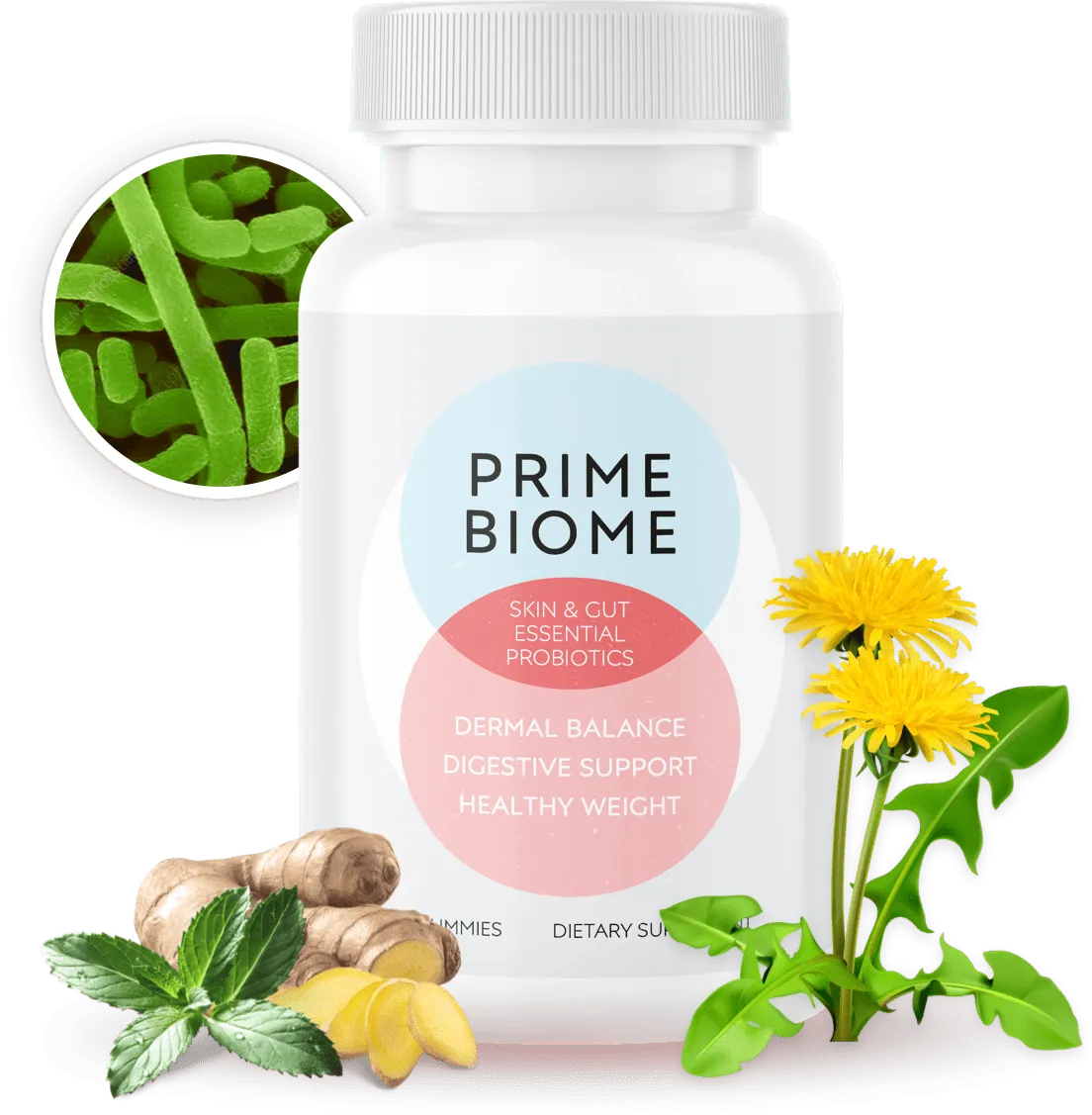 PrimeBiome Gut Health Supplement